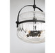 Denmar Four Light Convertible Semi-Flush/Pendant (6-4723-4-89)