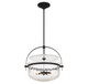 Denmar Four Light Convertible Semi-Flush/Pendant (6-4723-4-89)