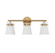 Kaden Three Light Bathroom Vanity (8-1627-3-322)