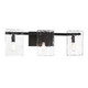 Genry Three Light Bathroom Vanity (8-8204-3-BK)