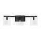 Genry Three Light Bathroom Vanity (8-8204-3-BK)