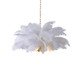 Terracotta Designs - H22108-5W - Five Light Chandelier - Denali - Gild Gold Leaf