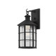 manufacturer_finish:French Iron|manufacturer_glass:Clear Seeded
