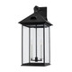 manufacturer_finish:Forged Iron|manufacturer_glass:Clear