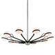 manufacturer_finish:Textured Black & Polish Nickel|manufacturer_glass:Glossy