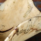 manufacturer_finish:Natural Raw Wood