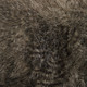 Jayna Ottoman (23474)