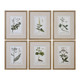 Uttermost - 33651 - Wall Art - Green Floral Botanical Study - Gold Leaf