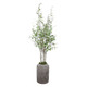Aldis River Birch (60146)