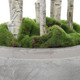 Aldis River Birch (60146)