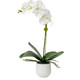 Uttermost - 60178 - Orchid - Cami Orchid - Textured White