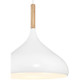 Olivia One Light Pendant (52086-WH/WGN)