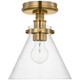 manufacturer_finish:Antique-Burnished Brass|manufacturer_glass:Clear Glass