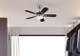 Cassidy 36"Ceiling Fan (72303)