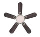 Cassidy 36"Ceiling Fan (72303)