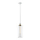 Zeev Lighting - P11706-E26-MW-K-AGB-G15 - One Light Pendant - Zigrina - Matte White