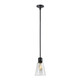 Zeev Lighting - P11708-E26-SBB-G16 - One Light Pendant - Zigrina - Satin Brushed Black