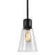 Zigrina One Light Pendant in Satin Brushed Black (360-P11708-E26-SBB-G16)