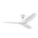 Haiku L 52"Ceiling Fan (FR127C-U1H00-3L02-09259-259P610)