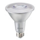 PARs Light Bulb (772779)