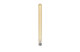 Filaments: Light Bulb (776719)