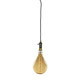 Bulbrite - 810107 - Pendant - Pendants - Warm Gold