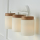 Liam Three Light Vanity (150931)