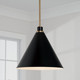 manufacturer_finish:Aged Brass and Black|manufacturer_glass:Black Metal Shade with White Interior