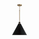 manufacturer_finish:Aged Brass and Black|manufacturer_glass:Black Metal Shade with White Interior