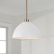 Ross One Light Pendant (352011)