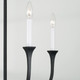 Decklan Four Light Chandelier (452341)