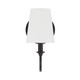 Payton One Light Wall Sconce (PAY-921-BF)