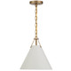 Xavier One Light Pendant (XAV-B8301-VG)