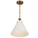 Xavier One Light Pendant (XAV-B8301-VG)