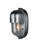 Currey and Company - 5500-0051 - One Light Outdoor Wall Sconce - Maritime Collection - Antique Silver / Clear