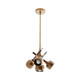 Pavo Four Light Pendant (DJ42004)