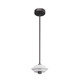 Bevins Pendant (DPC10)