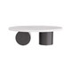 Torrington Coffee Table (FCI02)