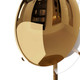 Corona One Light Wall Sconce (GDDWC01)