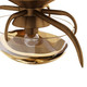 Corona One Light Wall Sconce (GDDWC01)