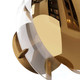 Corona One Light Wall Sconce (GDDWC01)