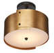 Ritsu Collection One Light Semi-Flush Mount (9999-0063)
