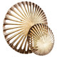 Wall Decor (11315)