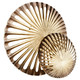 Cyan - 11315 - Wall Decor - Antique Brass