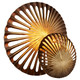 Wall Decor (11315)