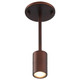 Cafe Dual Mount LED Wall Or Ceiling Spotlight (72010LEDDLP-BRZ)