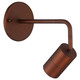 Cafe Dual Mount LED Wall Or Ceiling Spotlight (72010LEDDLP-BRZ)