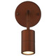 Cafe Dual Mount LED Wall Or Ceiling Spotlight (72010LEDDLP-BRZ)