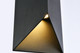 Raine LED Outdoor Wall Lamp (LDOD4022BK)