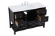 Theo Single Bathroom Vanity (VF16448BK)